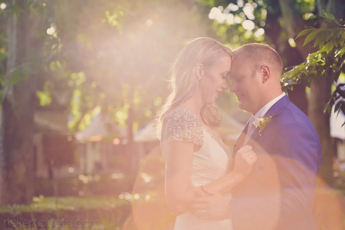 Bride and groom embracing on a garden path among golden trees at Grande Provence, Franschhoek