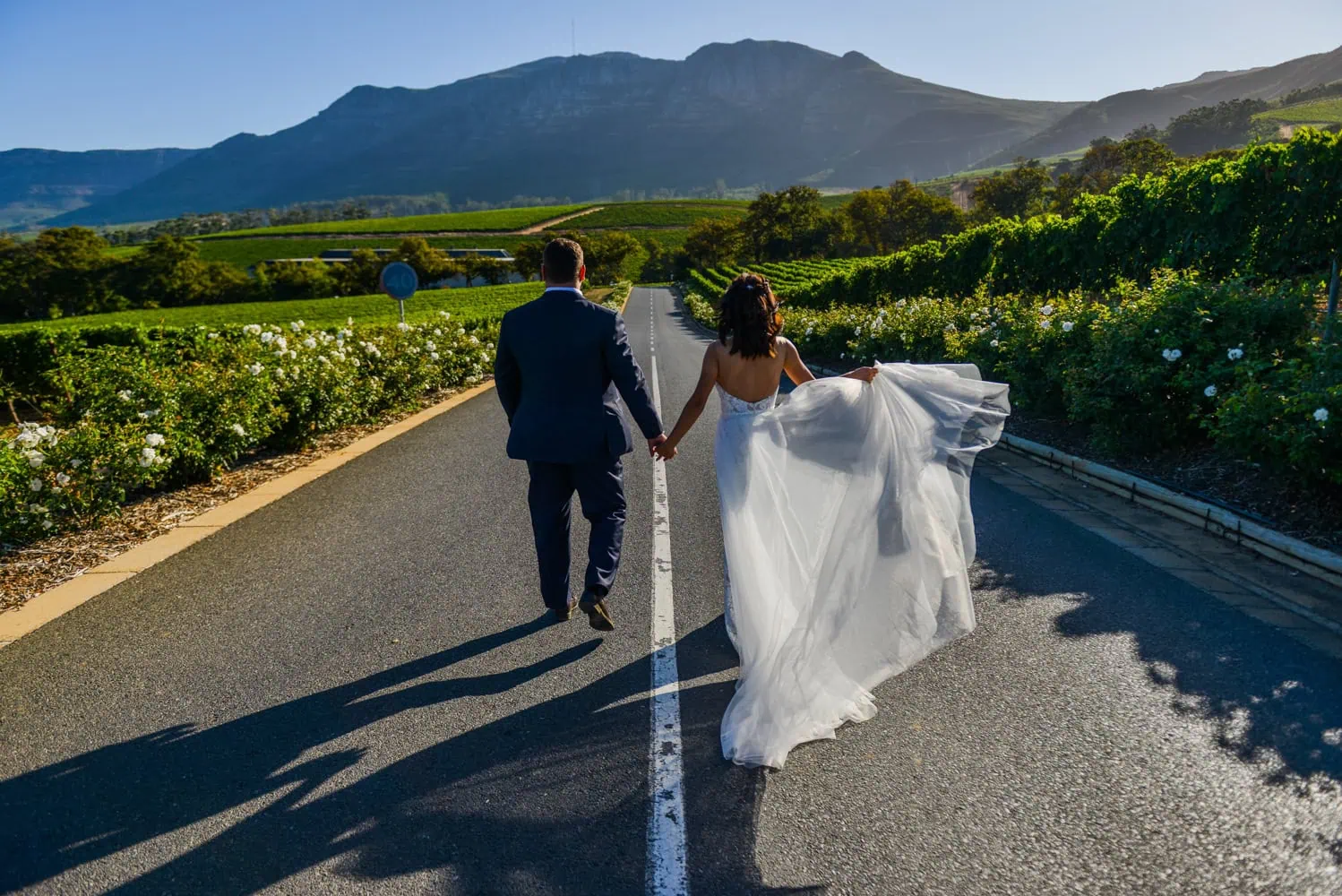 Couple walking wine country vineyard road – Groot Constantia, Cape Town