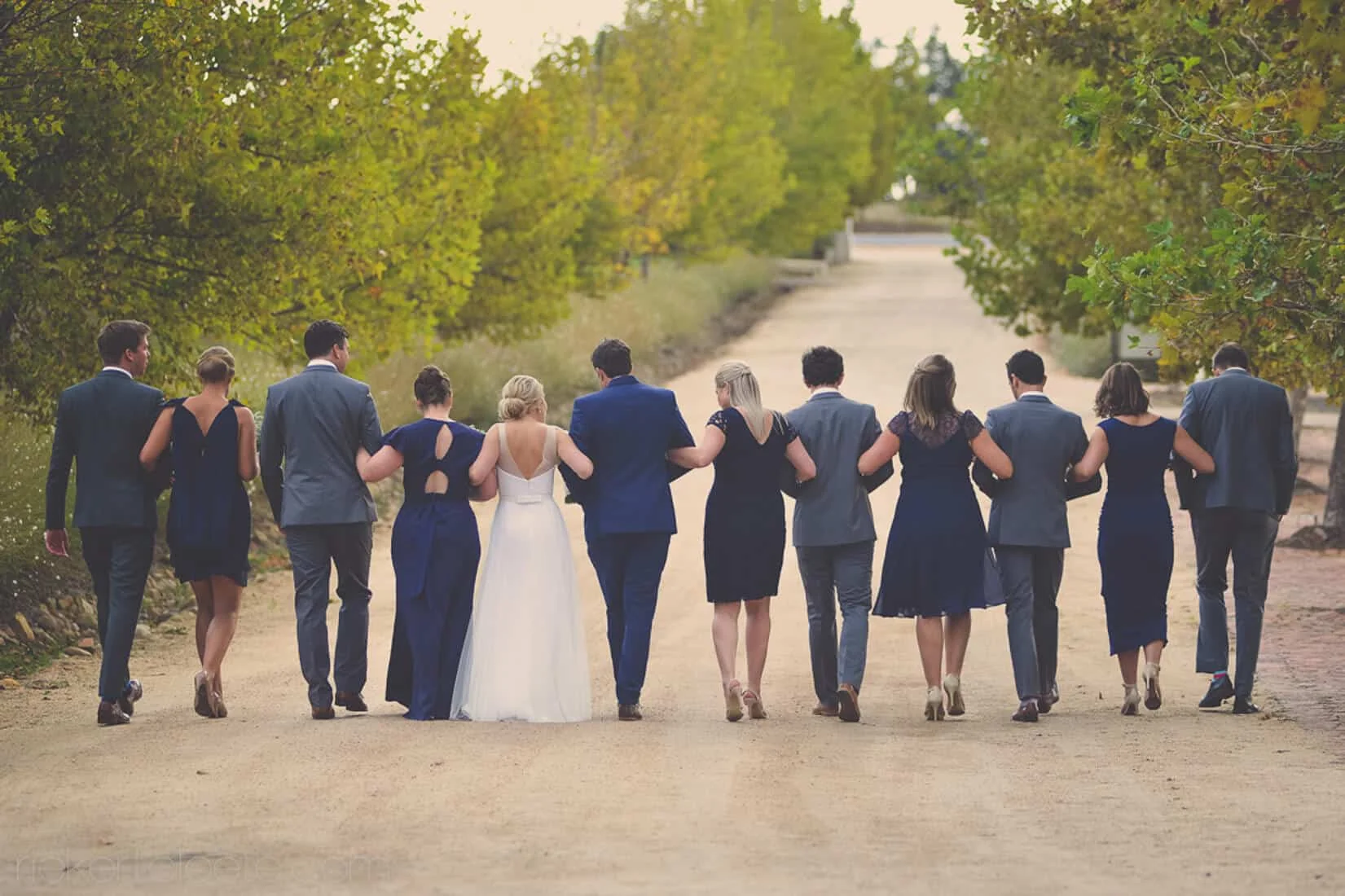 Wedding party walking tree lined dirt road – Kleinevalleij, Wellington