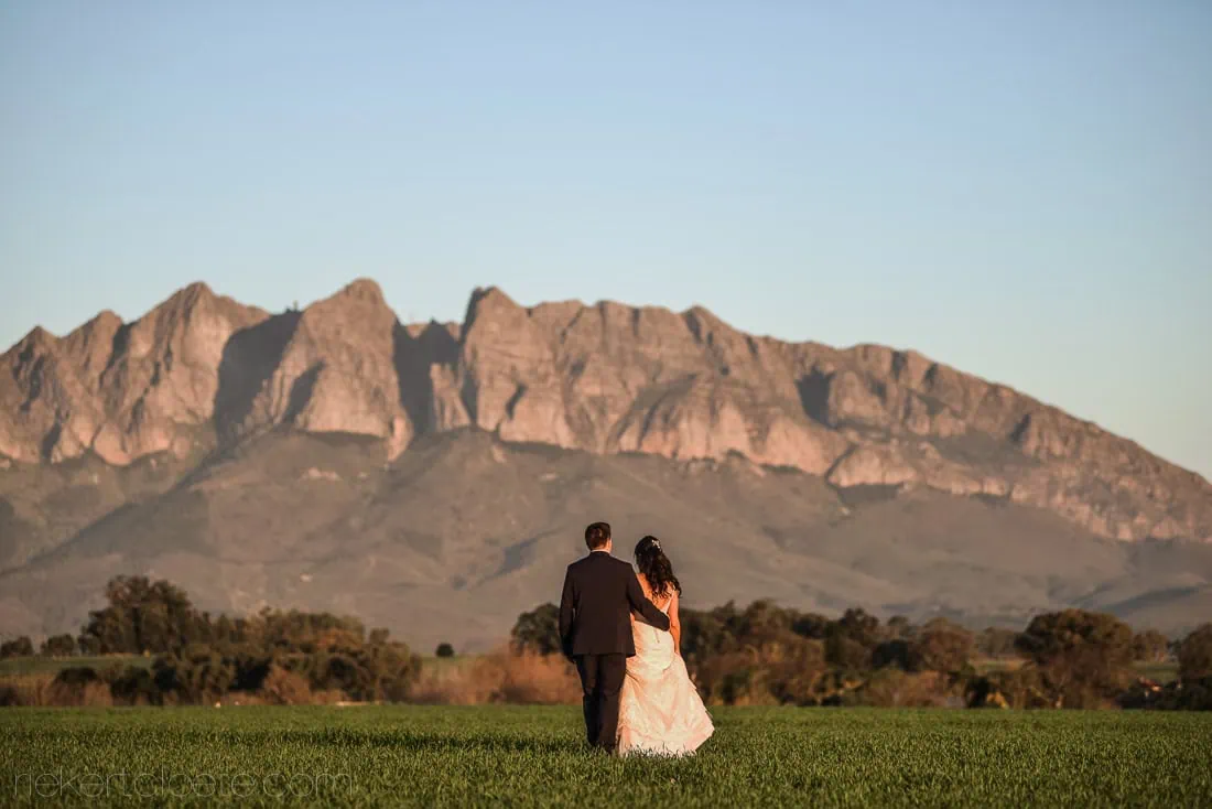 Langkloof roses couple green field golden hour mountains – Langkloof Roses, Wellington