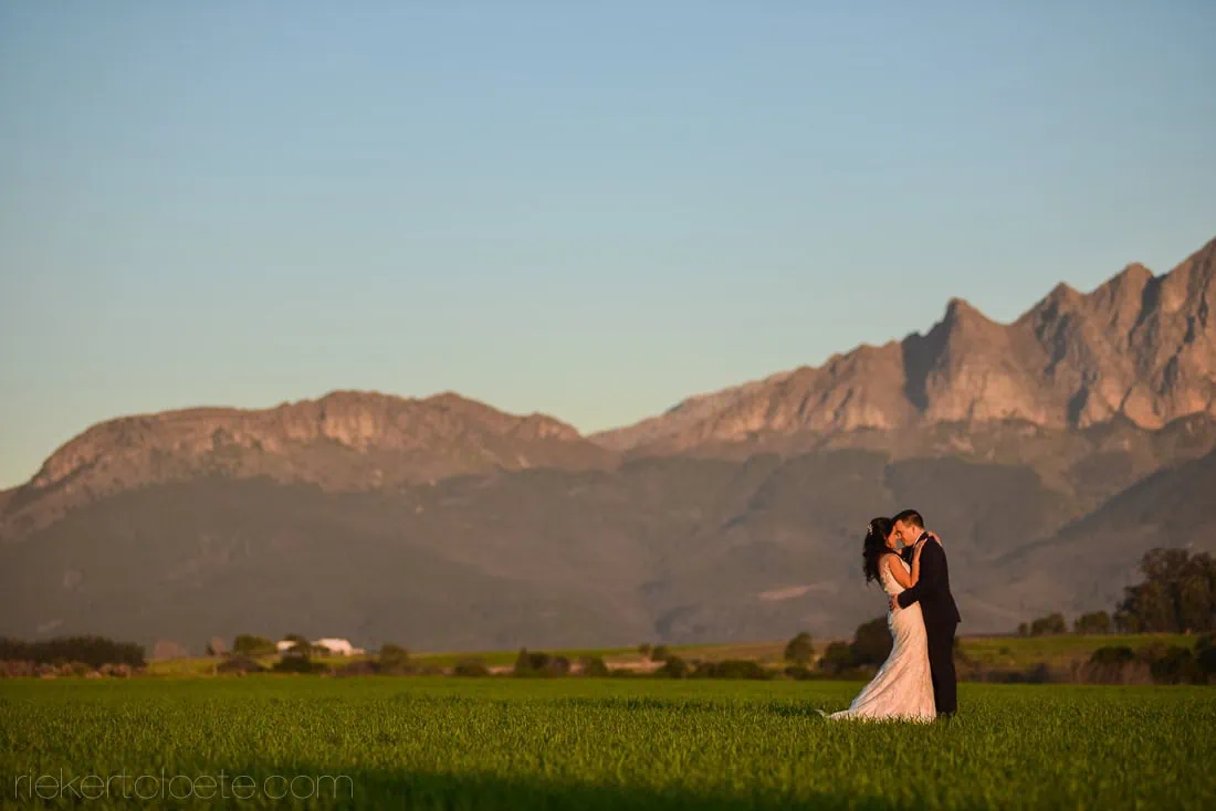 Langkloof roses couple kissing open fields golden light – Langkloof Roses, Wellington