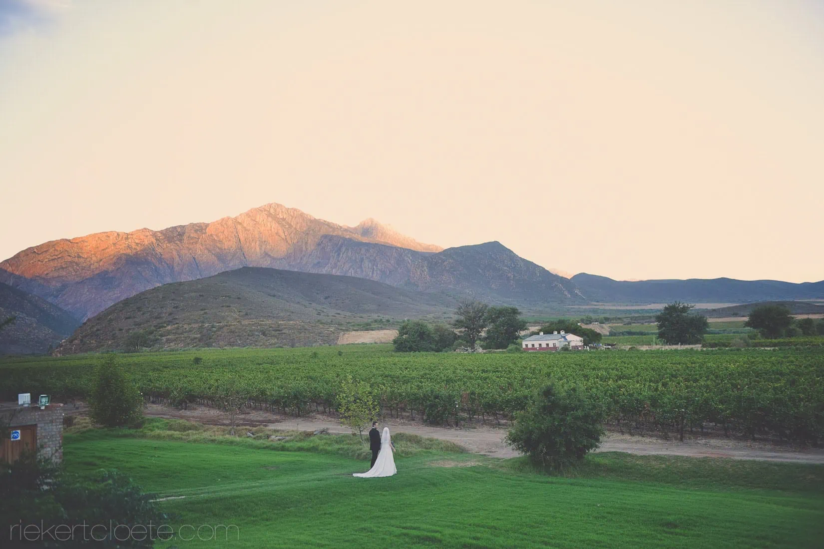 Vineyard wedding couple sunset pink mountain sky – Leipzig Country House, Robertson