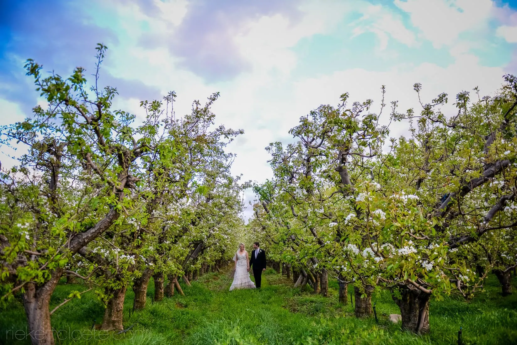 Couple walking blossom orchard spring portrait – Laurent at Lourensford, Somerset West