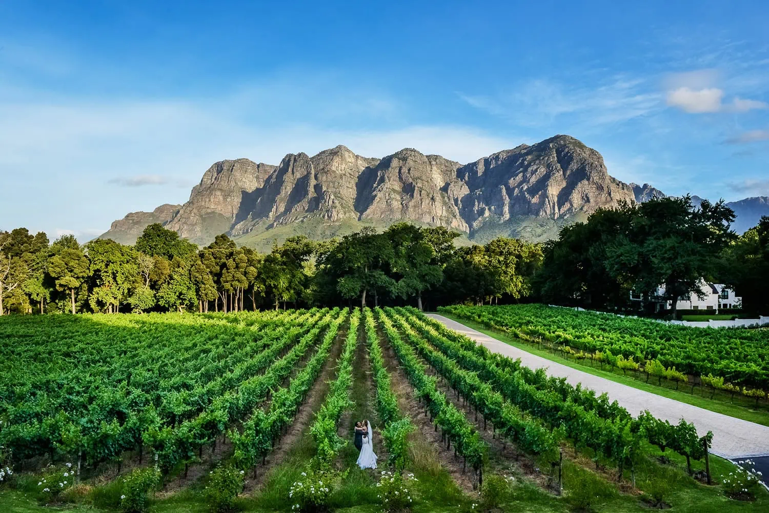 Molenvlietcouple green vineyard mountain cape dutch homestead – MolenVliet Oosthuizen Family Vineyards, Stellenbosch