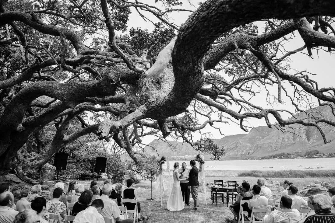 Ceremony under ancient oak tree stanford mountain backdrop – Mosaic Lagoon Café, Hermanus
