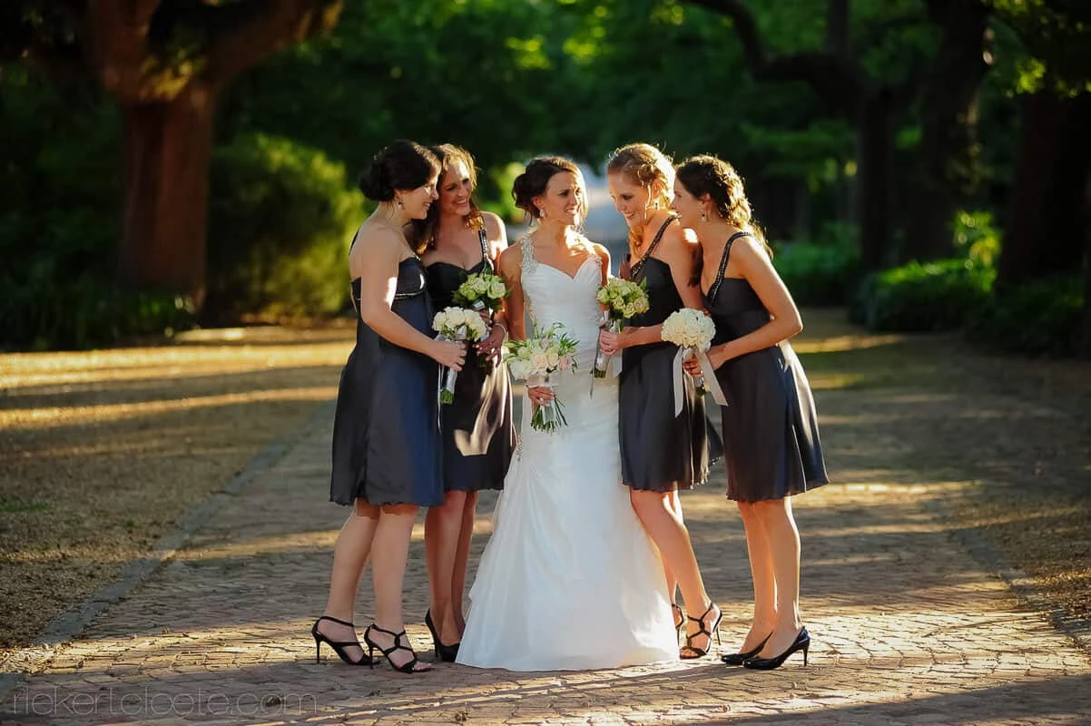 Bride bridesmaids charcoal dresses golden light avenue – Nooitgedacht Estate, Stellenbosch