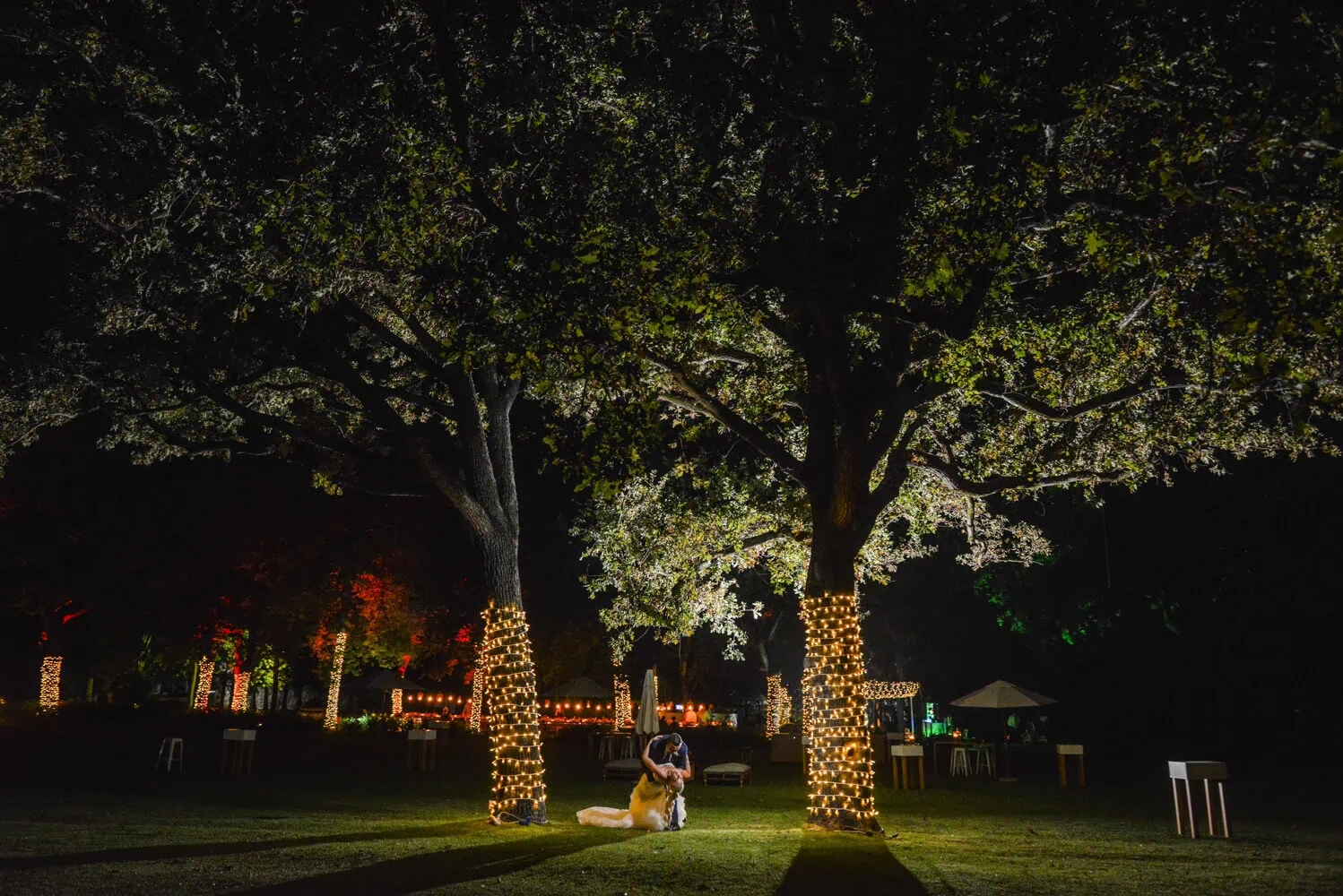 Stellenbosch couple fairy light oak trees night reception – Nooitgedacht Estate, Stellenbosch