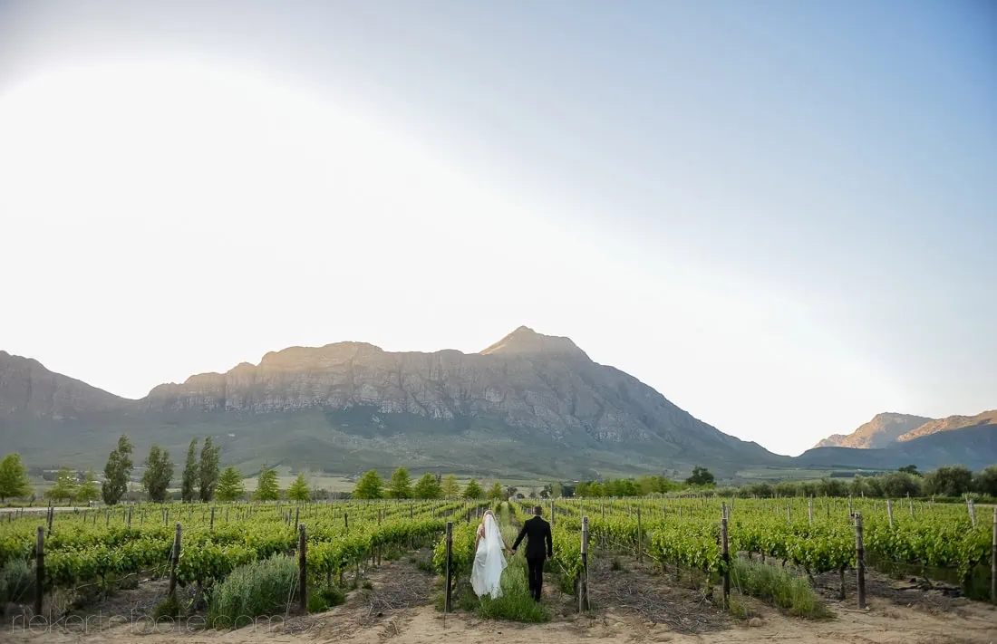 Couple embracing vineyard sunset mountain backdrop – Saronsberg Wine Cellar, Tulbagh