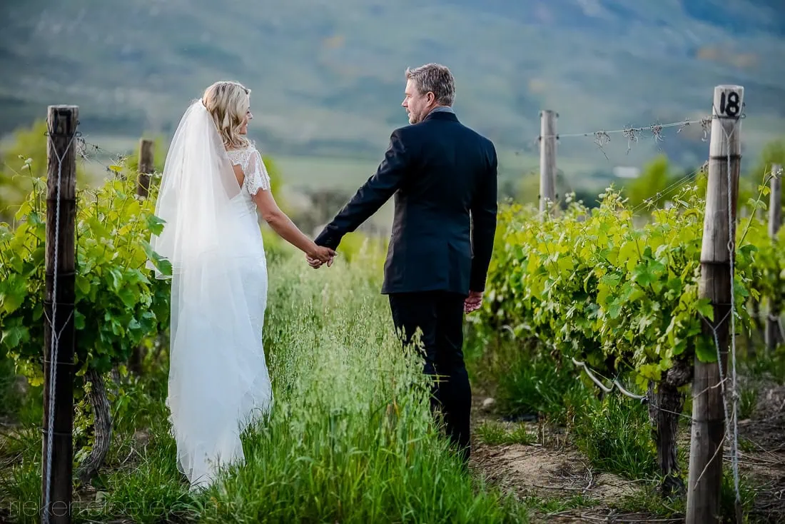 Tulbride groom holding hands through vineyard rows – Saronsberg Wine Cellar, Tulbagh