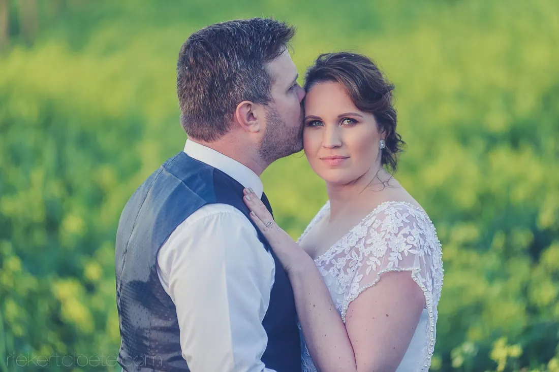 Groom kissing bride cheek canola field portrait – Skilpadvlei Wine Estate, Stellenbosch