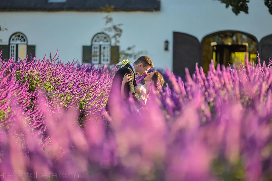 Couple hidden lavender field cape dutch farmhouse – Steenberg Hotel, Cape Town