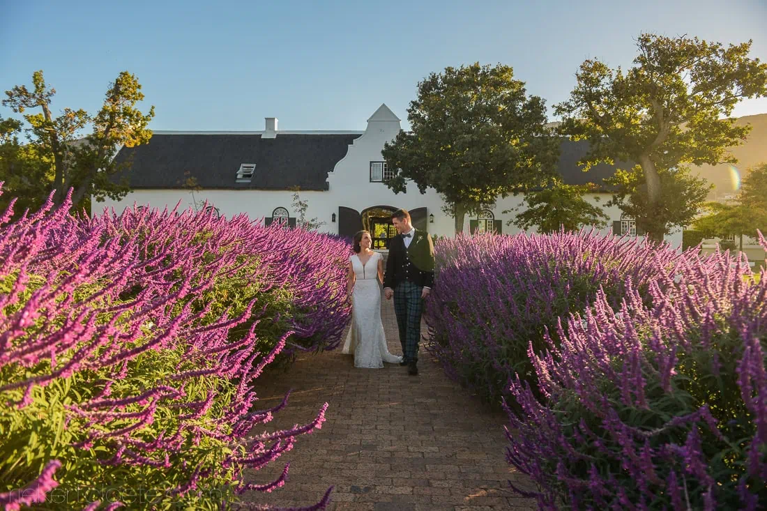 Stellenbosch lavender path cape dutch building golden hour – Steenberg Hotel, Cape Town