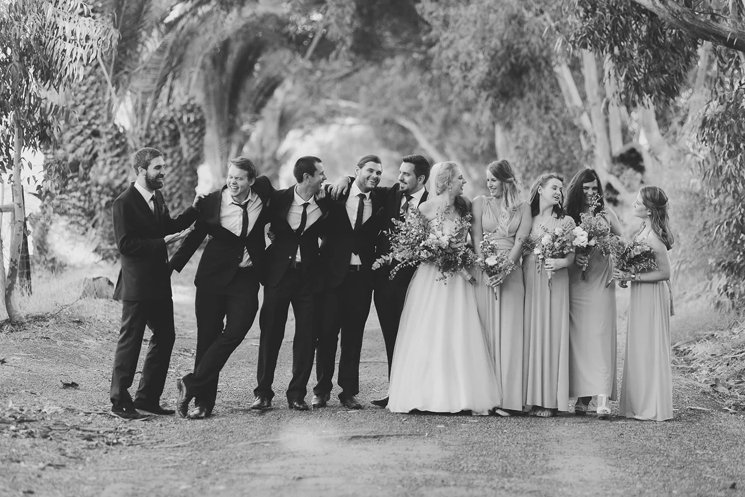 Wedding party tree canopy avenue black white – The Dairy Shed, Wellington