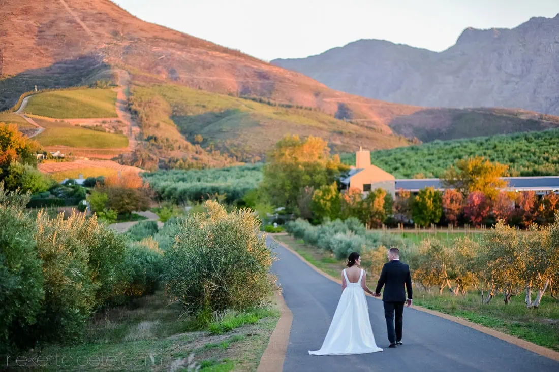 Bride groom autumn estate driveway mountain glow – Tokara Restaurant, Stellenbosch