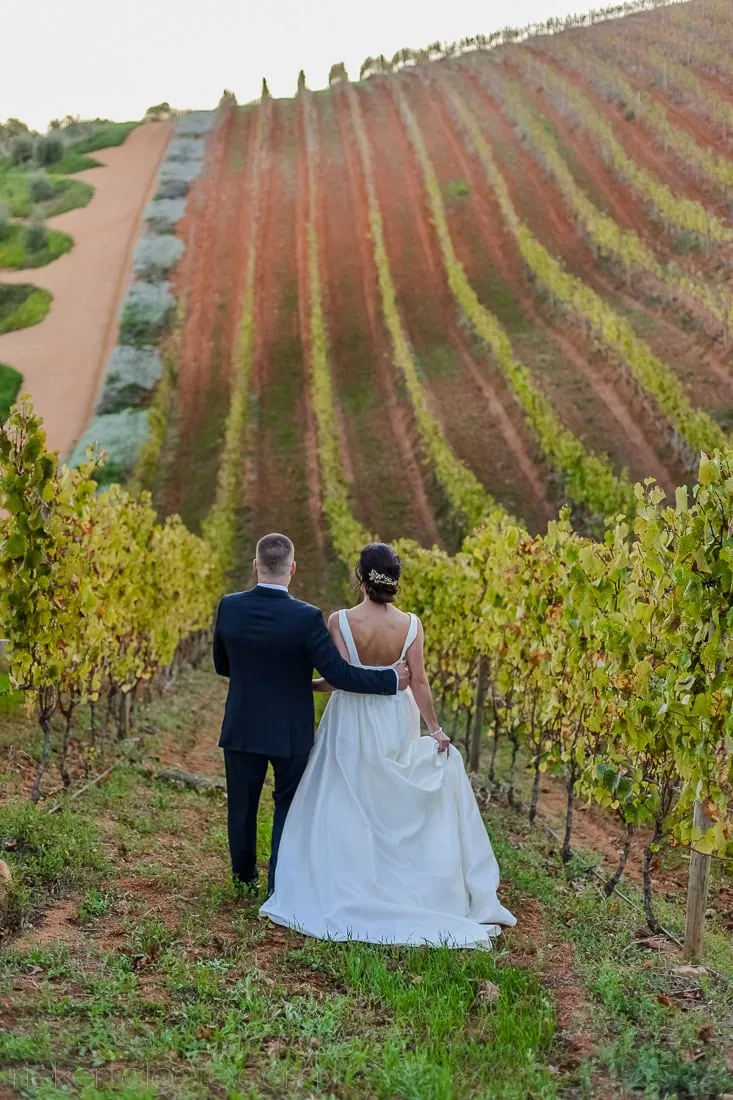 Bride groom climbing steep autumn vineyard rows – Tokara Restaurant, Stellenbosch