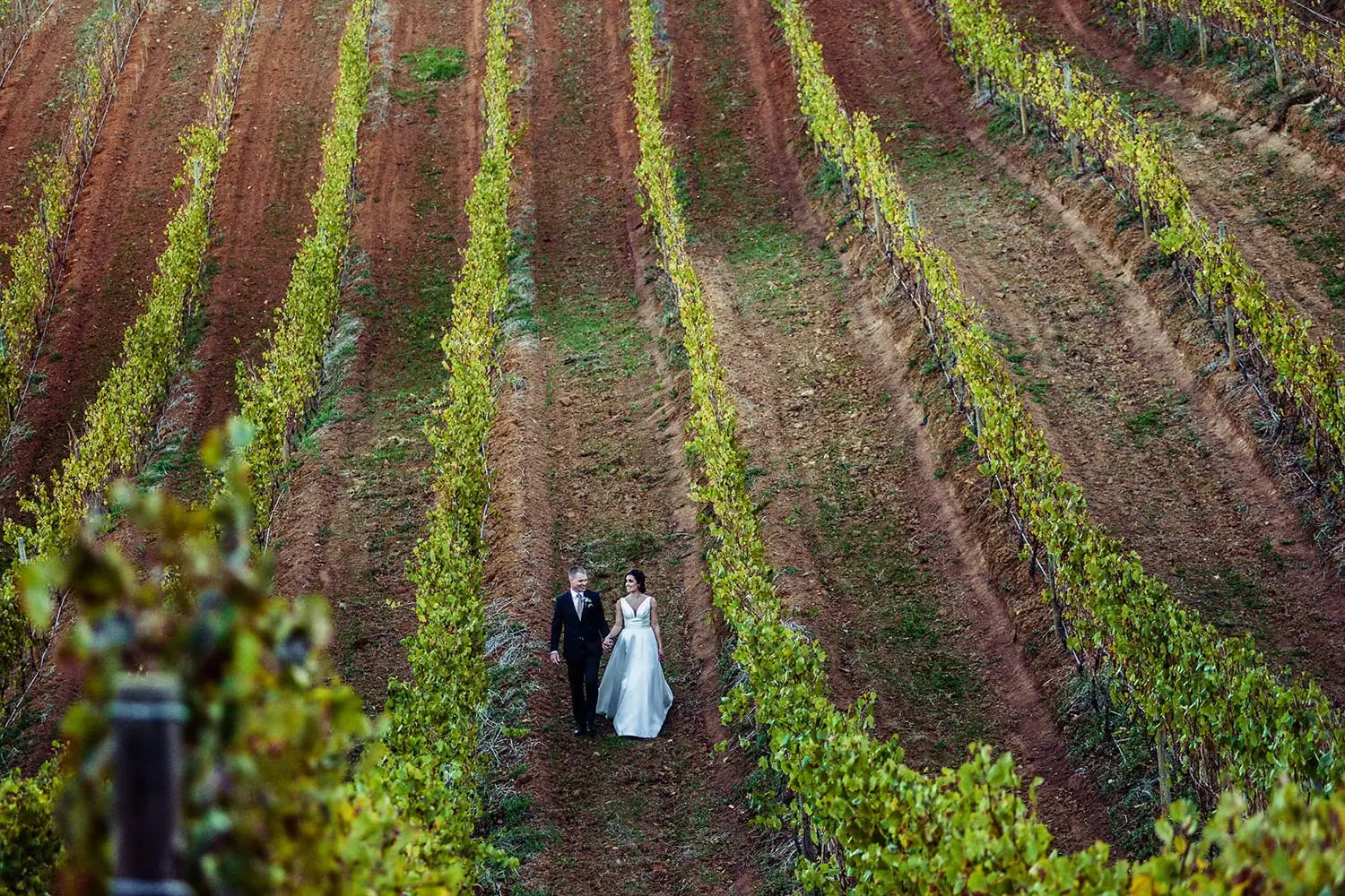Couple autumn vineyard russet soil aerial portrait – Tokara Restaurant, Stellenbosch
