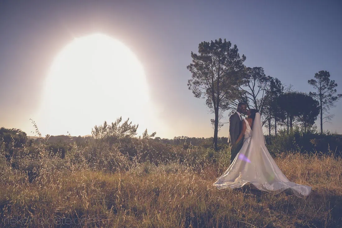 Val de vie couple sunset glowing golden field – Val de Vie Wines, Paarl