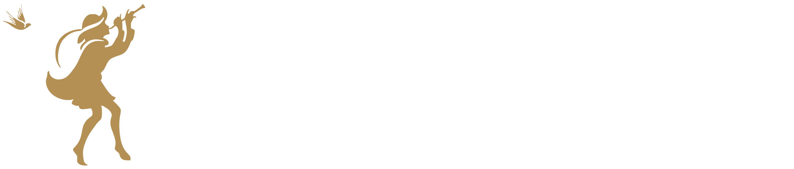 d aria winery venue.png
