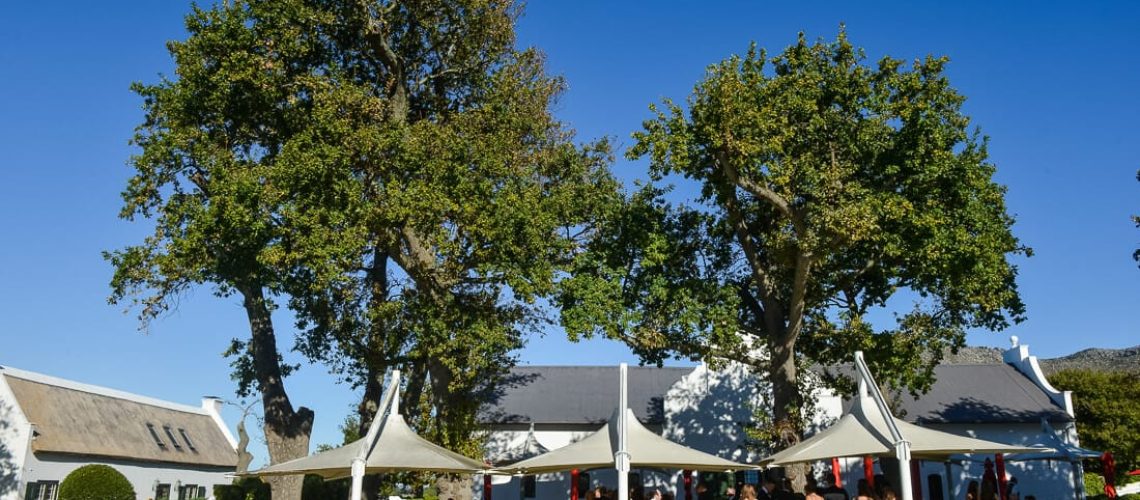 Week 12 Wedding tips